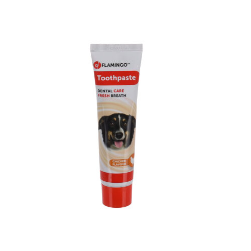 Dentifrice en tube saveur poulet pour chien 85g